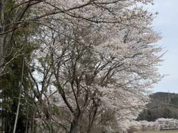 外壁リフォーム　カバー工法編